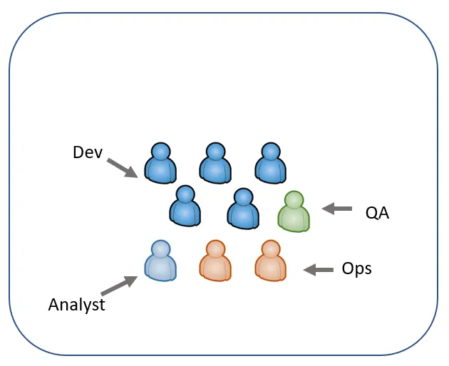 Cross-functional team